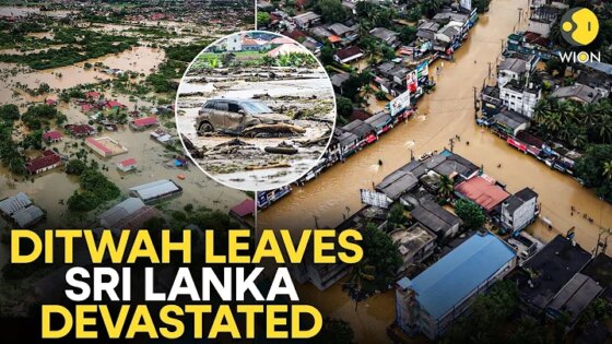 Cyclone Ditwah LIVE: Sri Lanka Declares State Emergency As Death Toll Climbs 212 WION LIVE