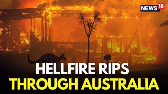 Australia Bush Fire LIVE Emergency Declared