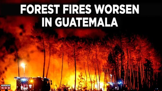 Guatemala Forest Fires LIVE: National Emergency Natural Disaster Central America World News