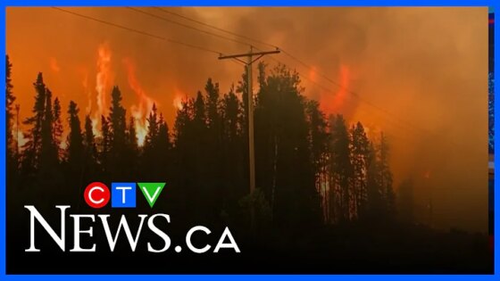 Métis Nation declares state of emergency CTV News Prince Albert: Wednesday