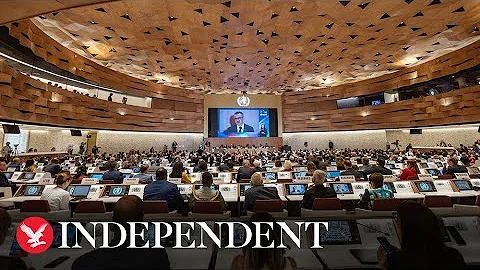 Live: WHO member states discuss resolution on health emergency in Ukraine