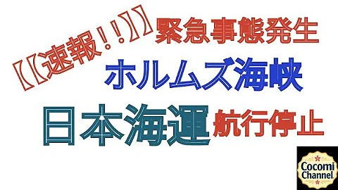 [Breaking News] Emergency situation: Japanese shipping halts navigation through the Strait of Hormuz